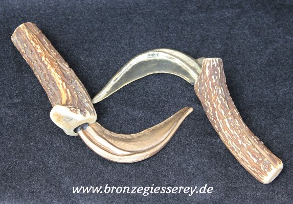 Photo zweier Blattrippensicheln